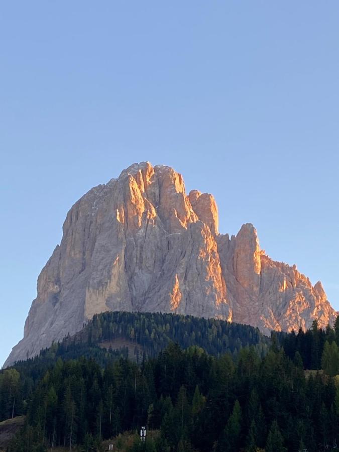 Apartments Mezdi Santa Cristina Val Gardena Bagian luar foto